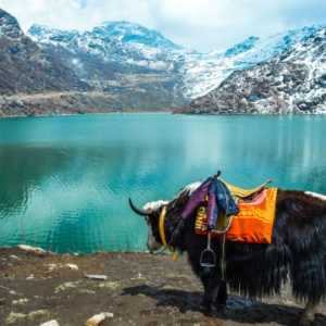 Eastern Himalayan Delight - Sikkim and Darjeeling